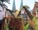 Gangblick Lübeck